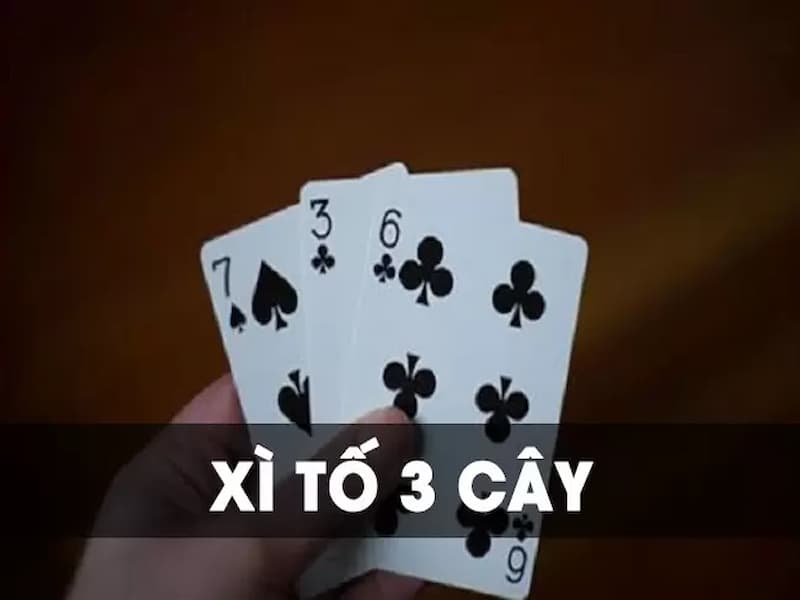 xì tố 3 cây