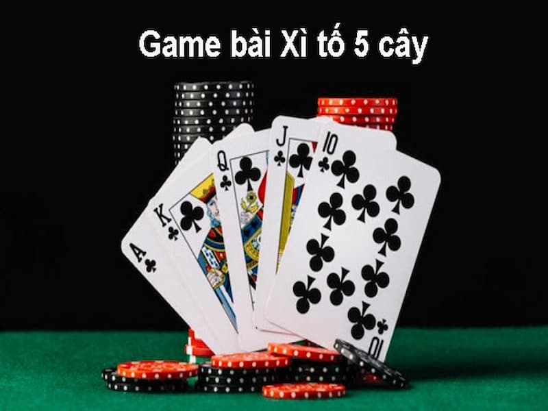 xì tố 5 cây